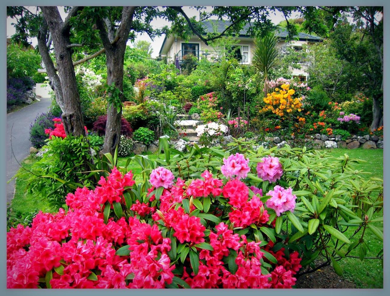 McAuley Glen Boutique B&B Portobello Extérieur photo