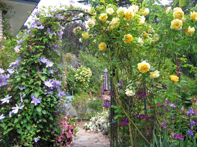 McAuley Glen Boutique B&B Portobello Extérieur photo
